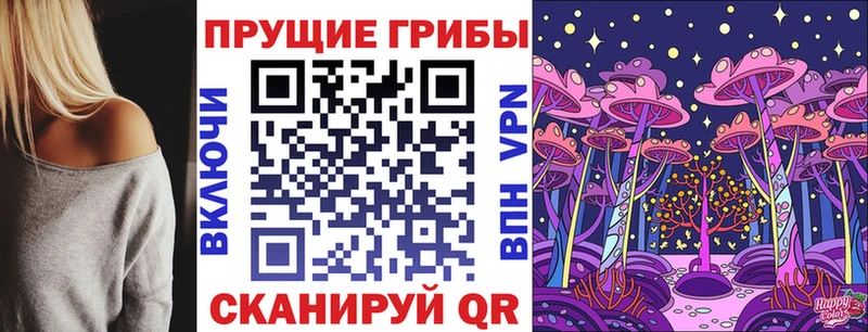 Галлюциногенные грибы Psilocybe  купить  сайты  Иркутск 